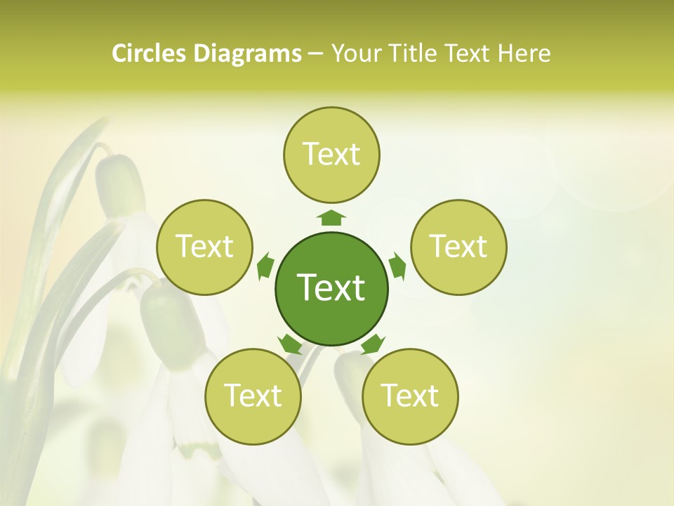 Outdoor Closeup Forest PowerPoint Template