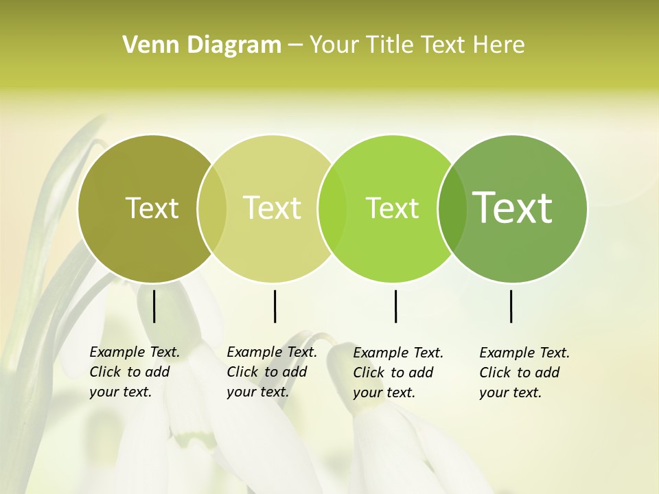 Outdoor Closeup Forest PowerPoint Template
