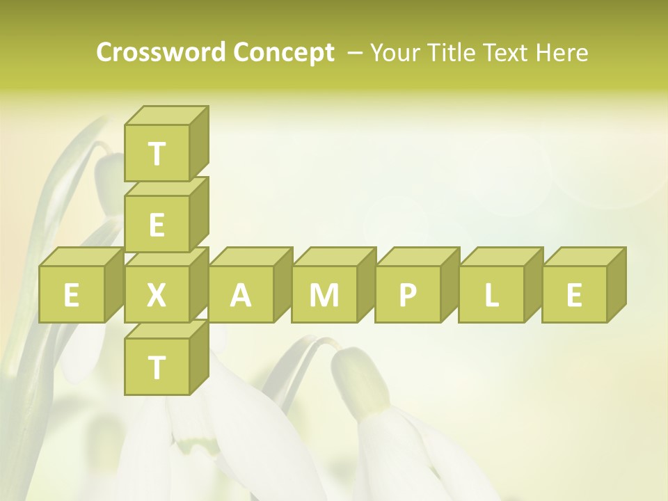 Outdoor Closeup Forest PowerPoint Template