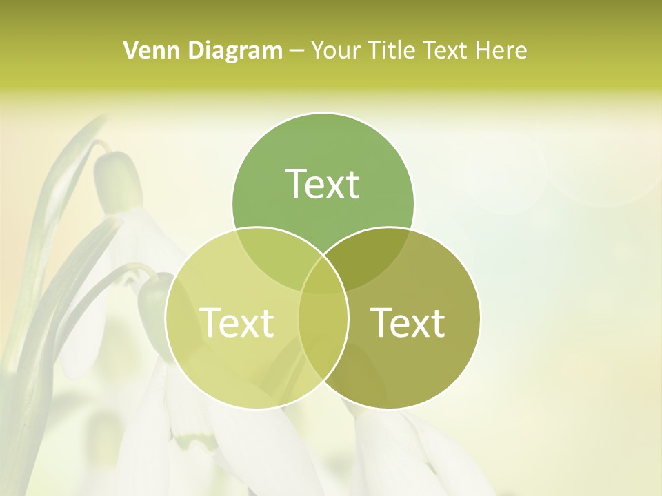 Outdoor Closeup Forest PowerPoint Template