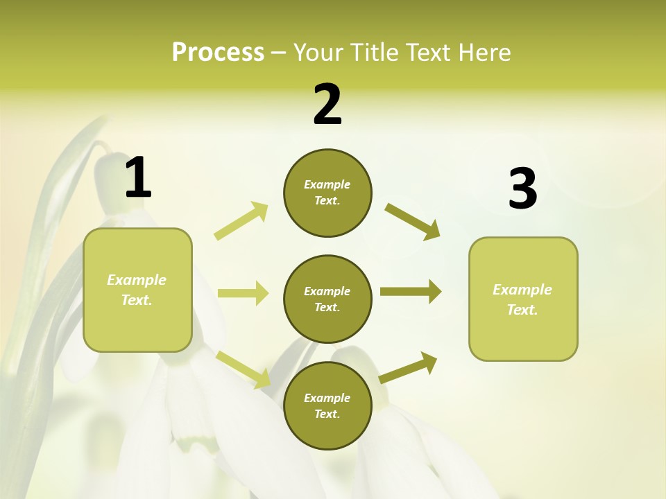 Outdoor Closeup Forest PowerPoint Template