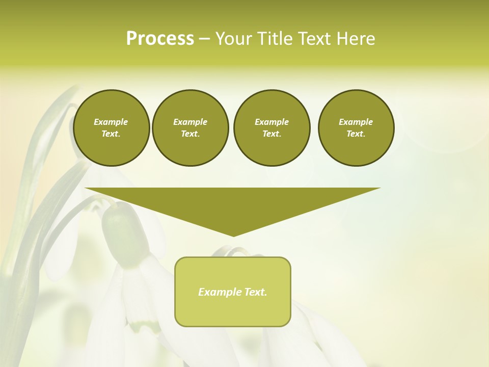 Outdoor Closeup Forest PowerPoint Template