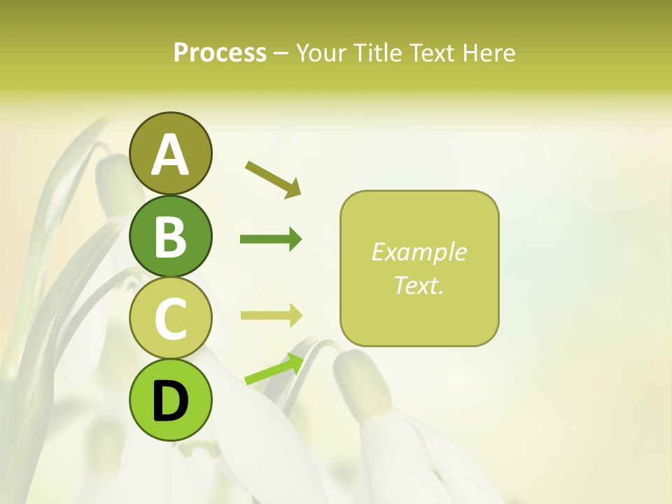 Outdoor Closeup Forest PowerPoint Template
