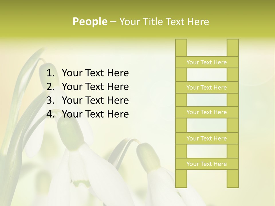 Outdoor Closeup Forest PowerPoint Template