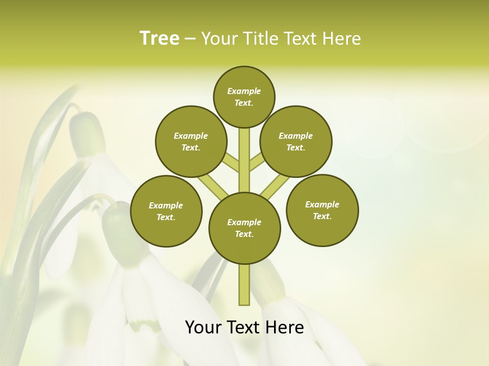 Outdoor Closeup Forest PowerPoint Template
