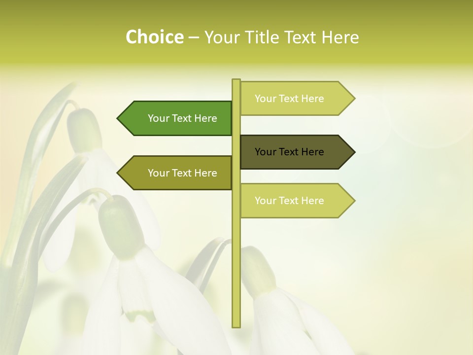 Outdoor Closeup Forest PowerPoint Template