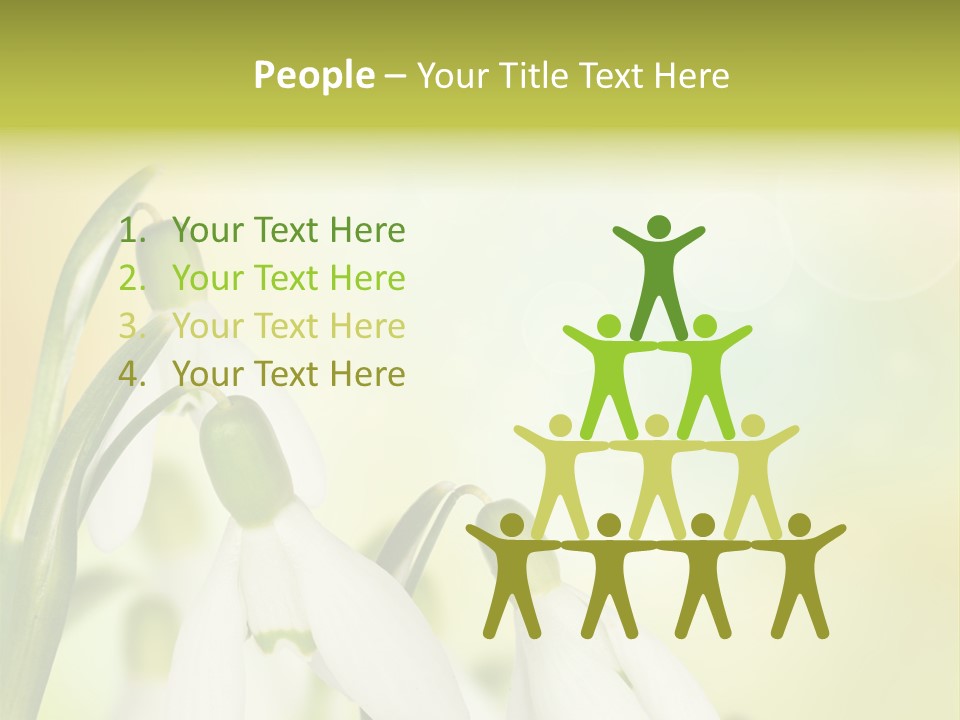 Outdoor Closeup Forest PowerPoint Template