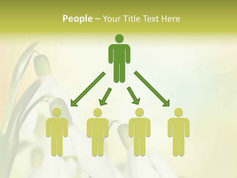 Outdoor Closeup Forest PowerPoint Template