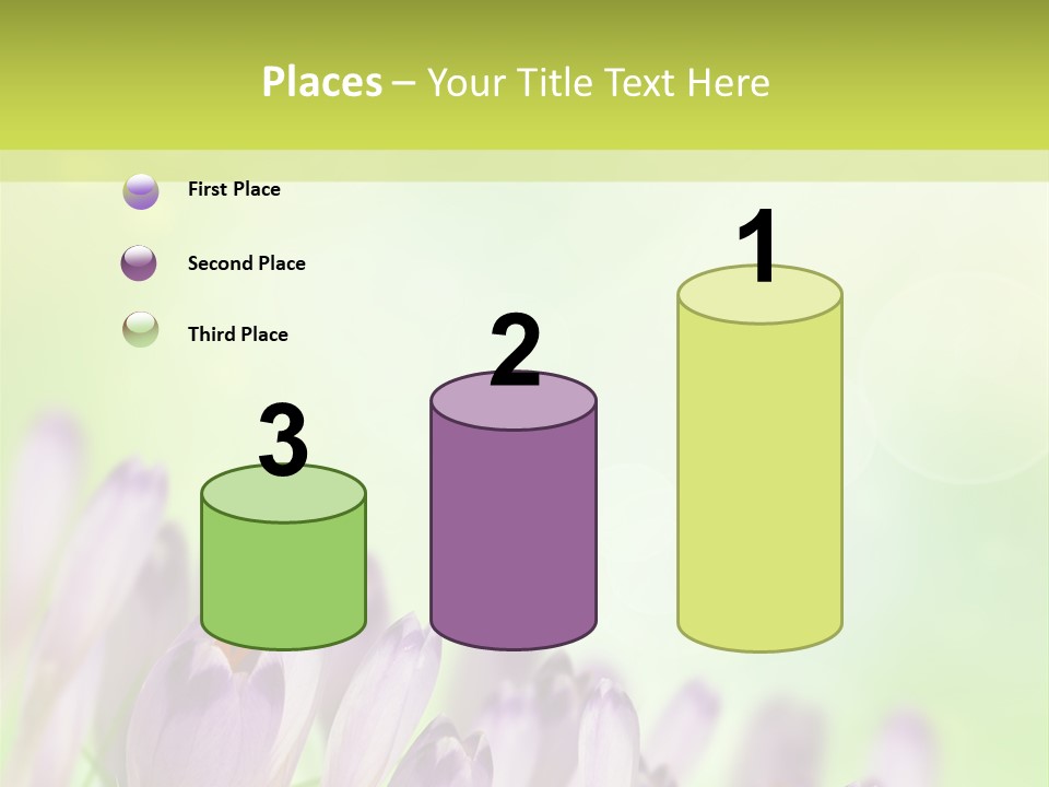 First Bud Violet PowerPoint Template