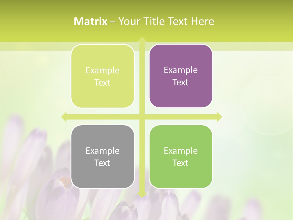 First Bud Violet PowerPoint Template