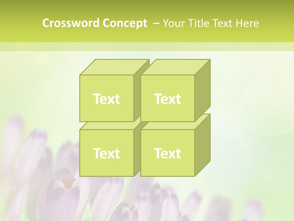 First Bud Violet PowerPoint Template