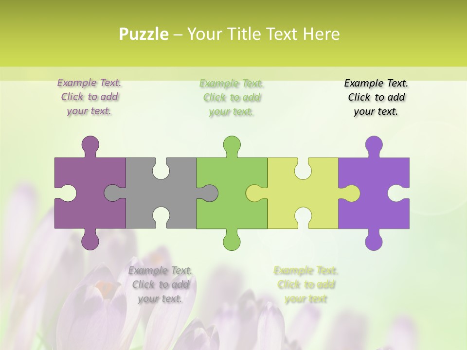 First Bud Violet PowerPoint Template