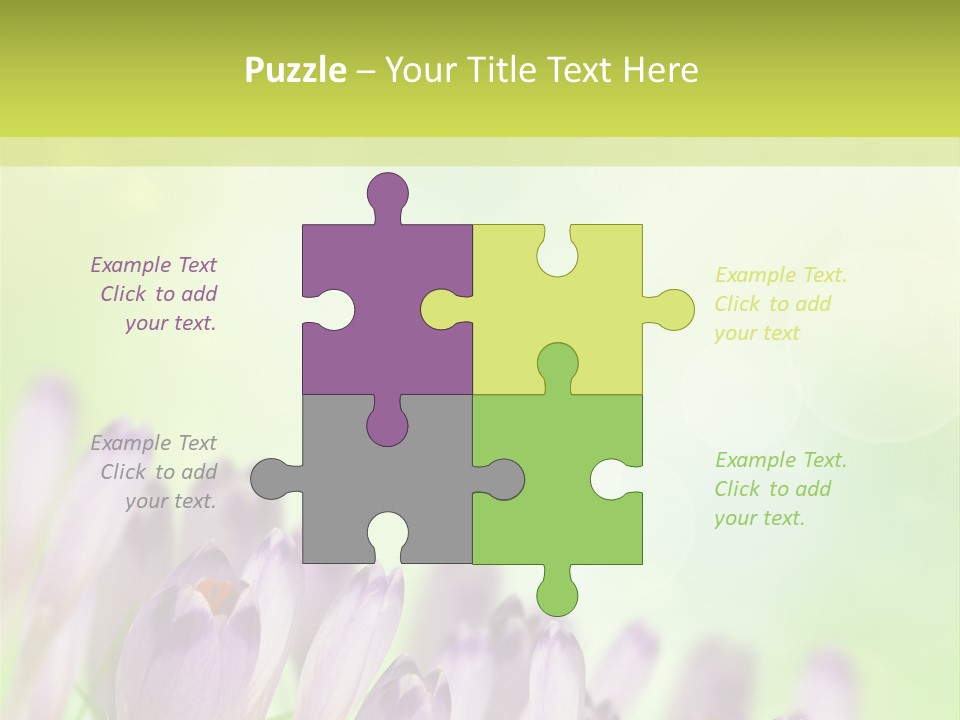 First Bud Violet PowerPoint Template