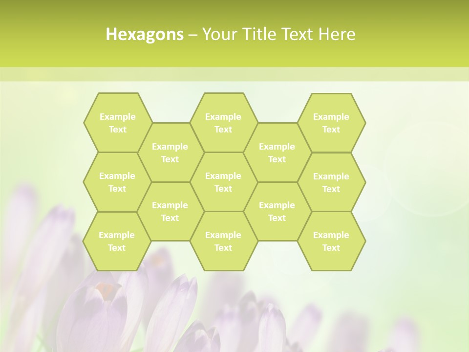 First Bud Violet PowerPoint Template