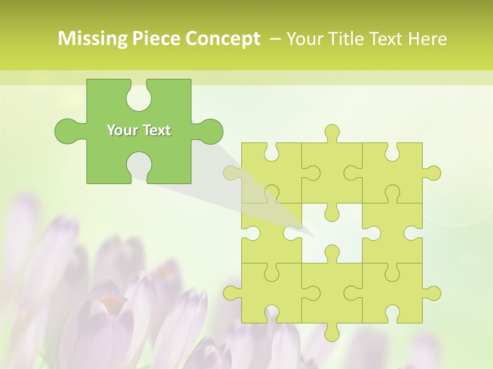 First Bud Violet PowerPoint Template