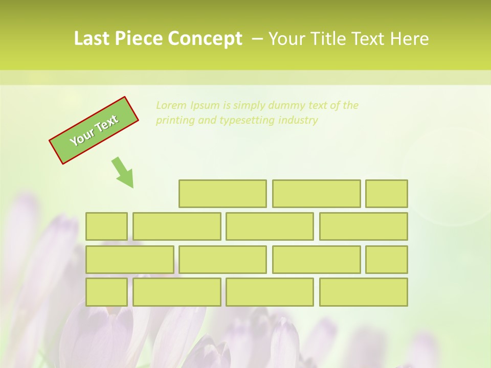 First Bud Violet PowerPoint Template