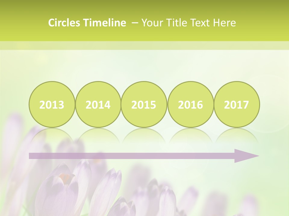 First Bud Violet PowerPoint Template