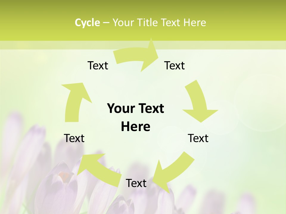 First Bud Violet PowerPoint Template