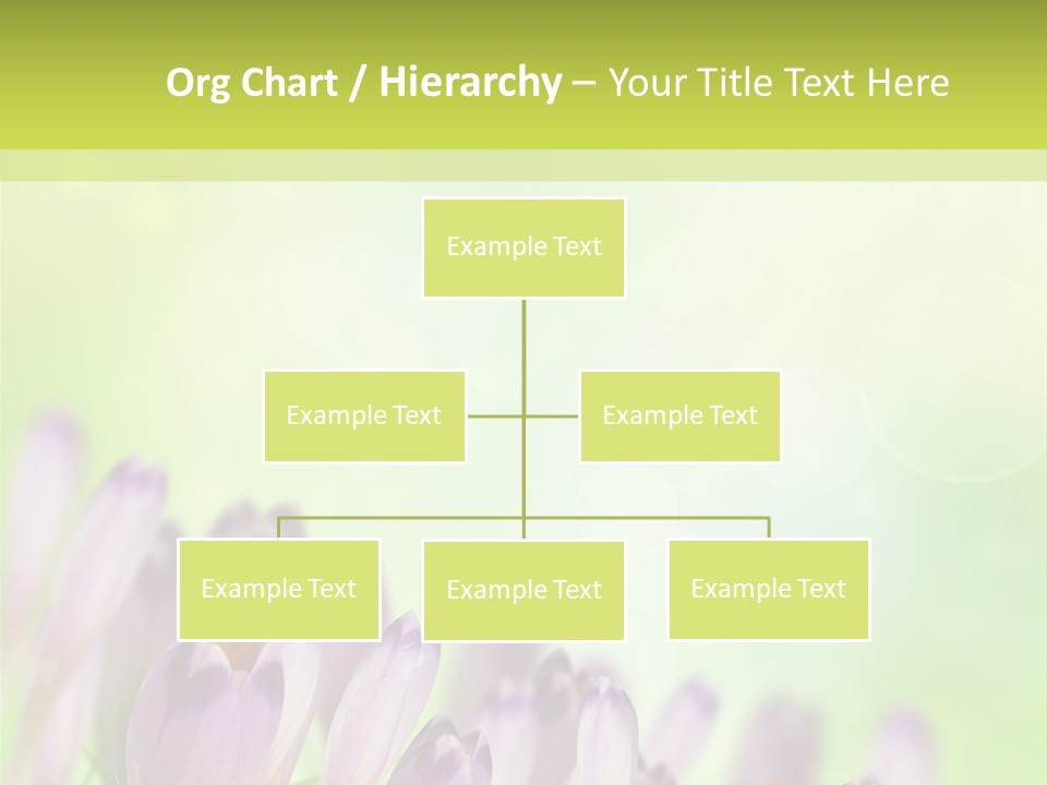 First Bud Violet PowerPoint Template