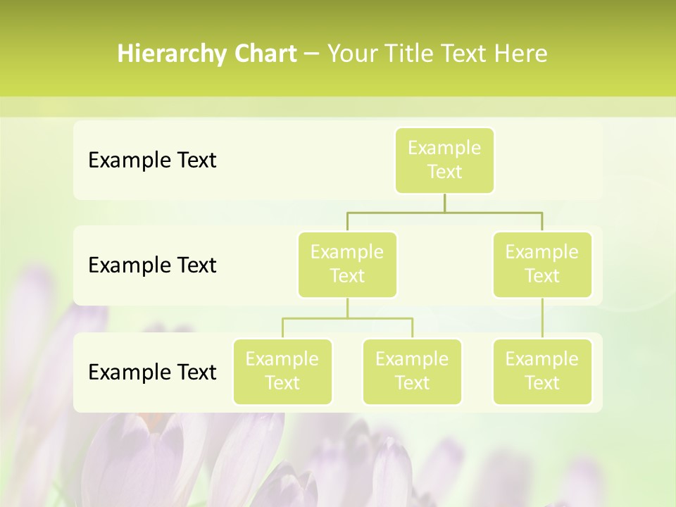 First Bud Violet PowerPoint Template