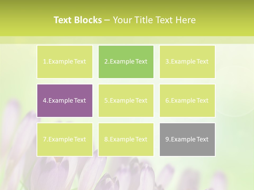 First Bud Violet PowerPoint Template