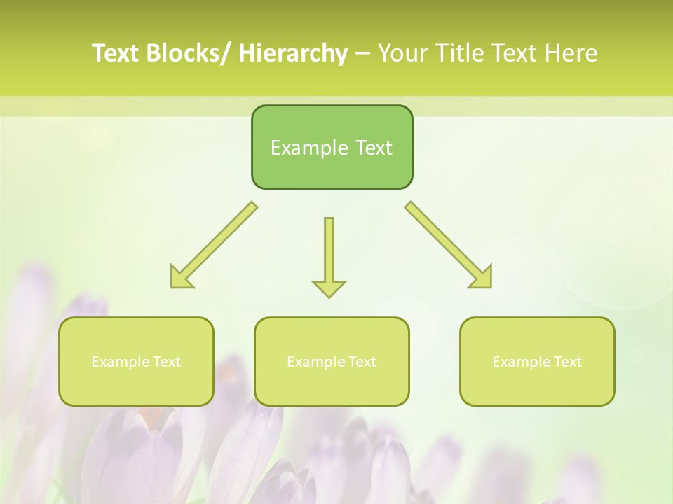 First Bud Violet PowerPoint Template