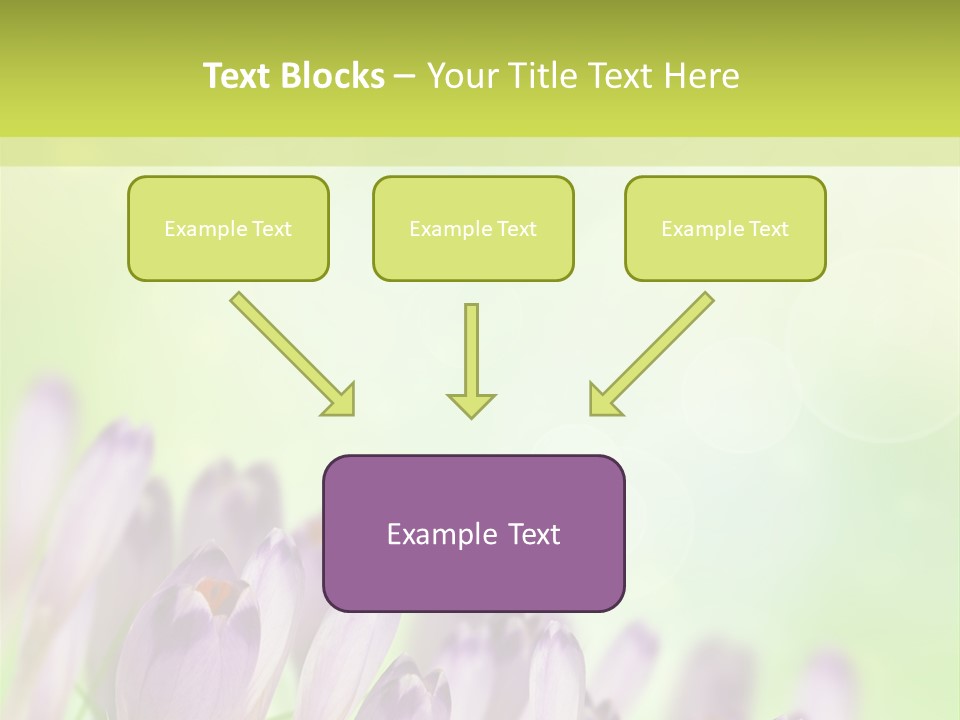 First Bud Violet PowerPoint Template
