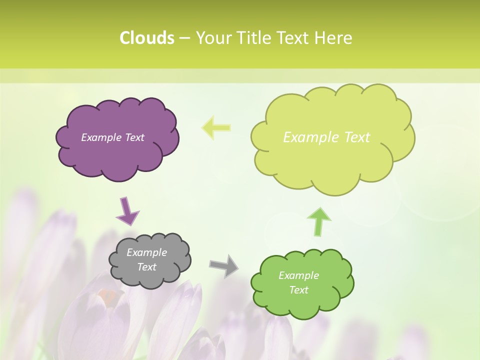 First Bud Violet PowerPoint Template