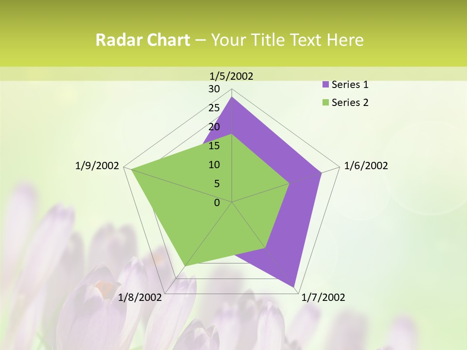 First Bud Violet PowerPoint Template