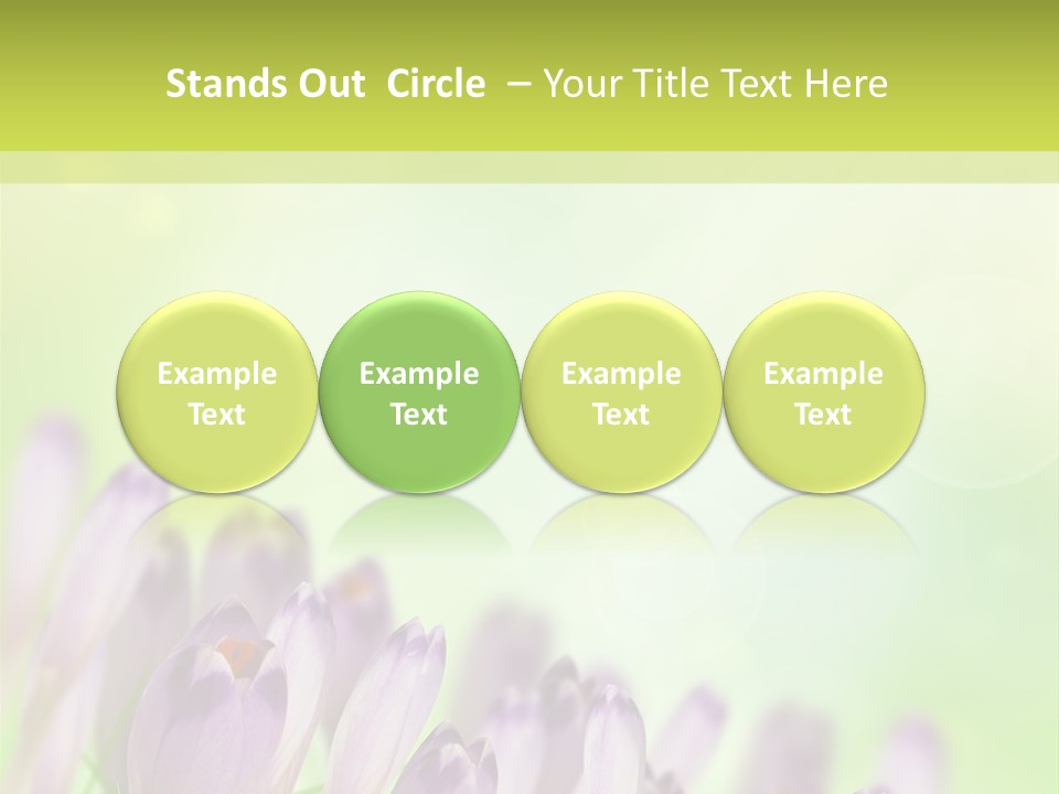 First Bud Violet PowerPoint Template