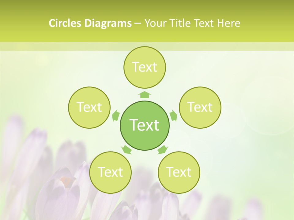 First Bud Violet PowerPoint Template