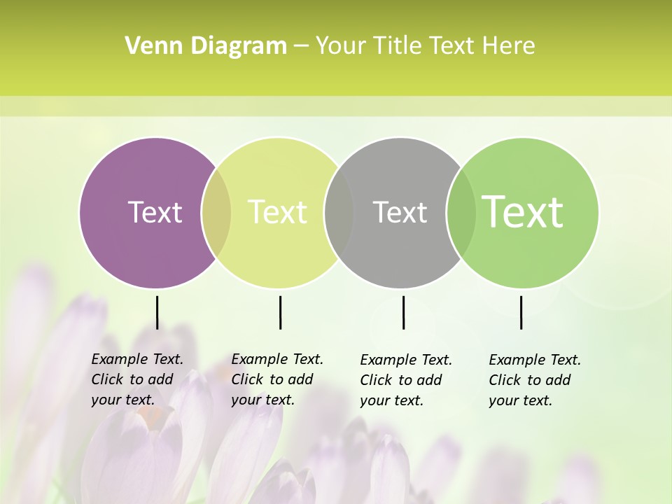 First Bud Violet PowerPoint Template