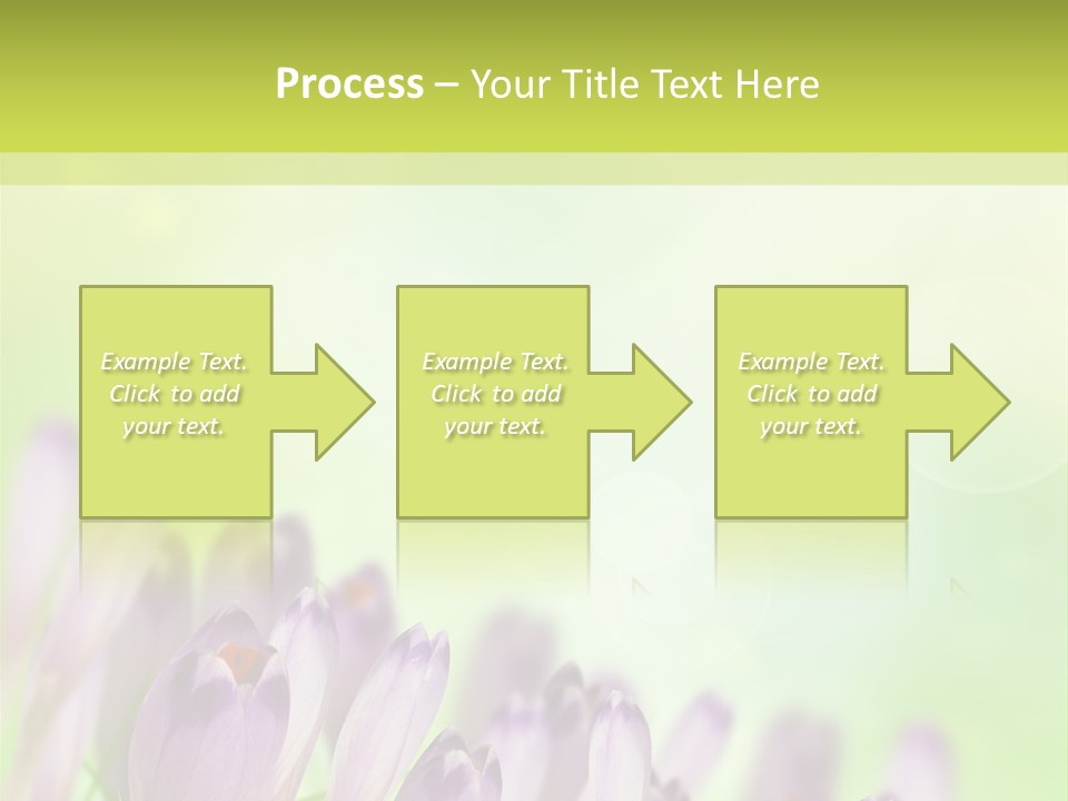 First Bud Violet PowerPoint Template