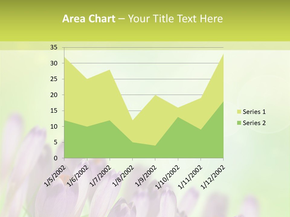 First Bud Violet PowerPoint Template