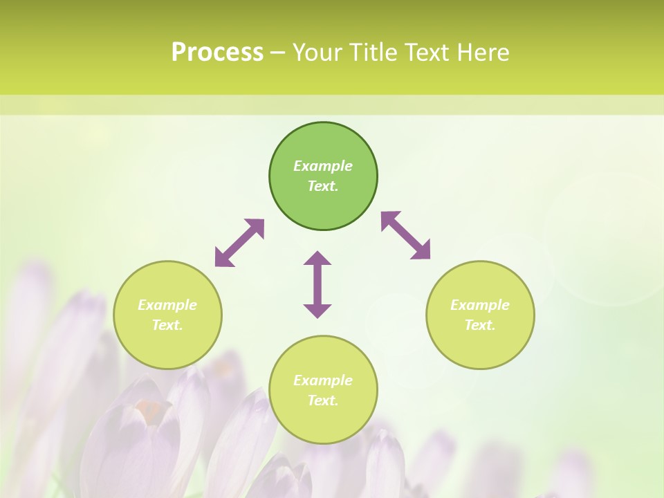 First Bud Violet PowerPoint Template