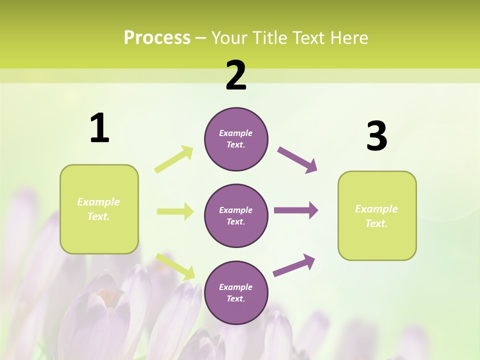First Bud Violet PowerPoint Template