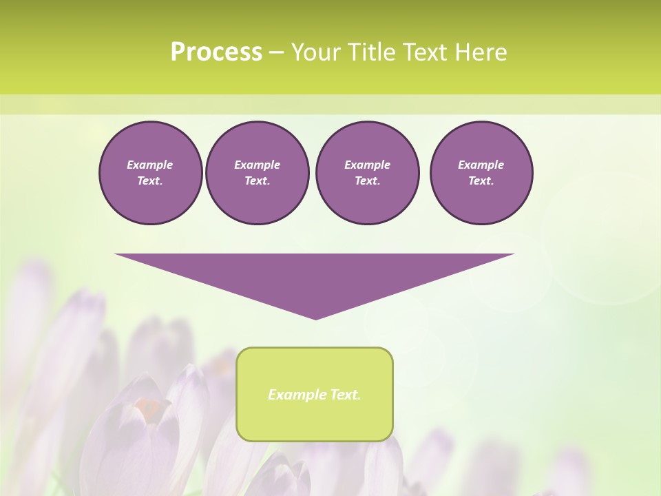 First Bud Violet PowerPoint Template