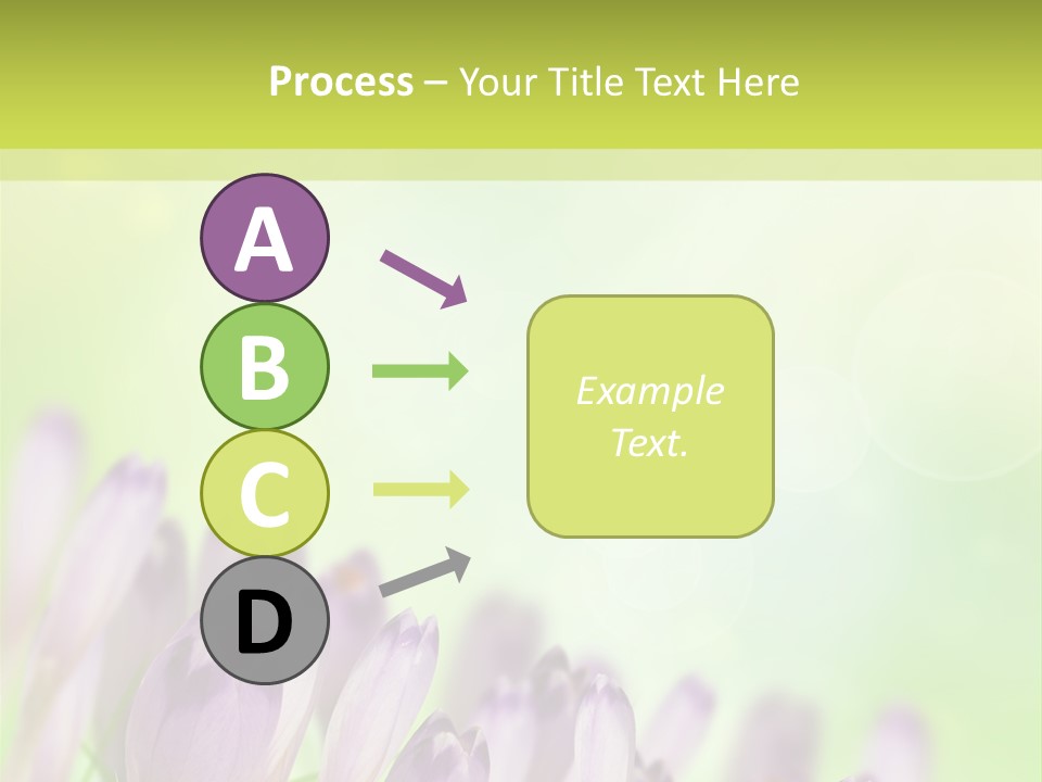 First Bud Violet PowerPoint Template