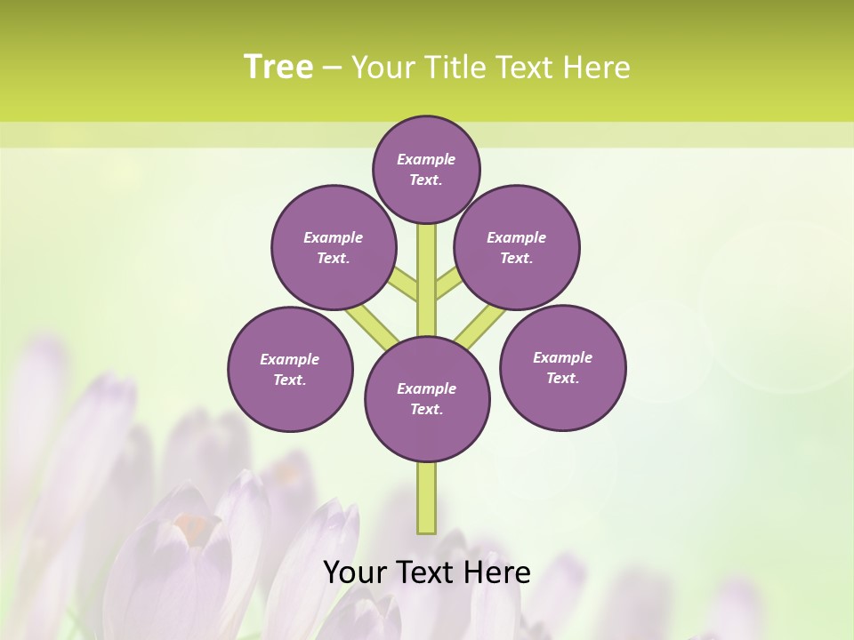 First Bud Violet PowerPoint Template