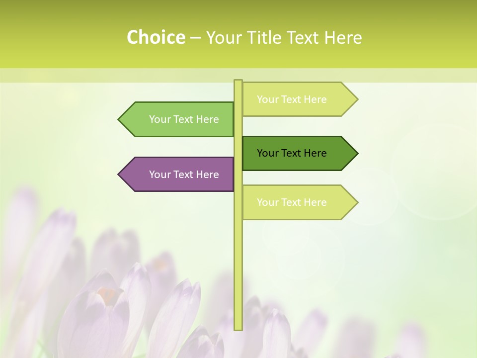 First Bud Violet PowerPoint Template