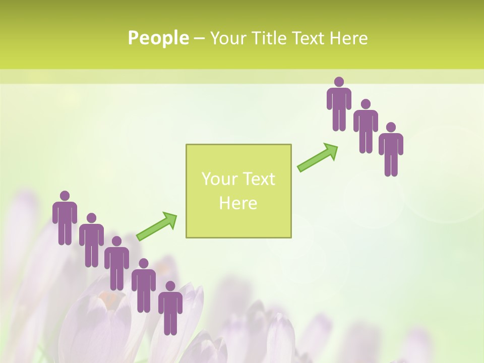 First Bud Violet PowerPoint Template