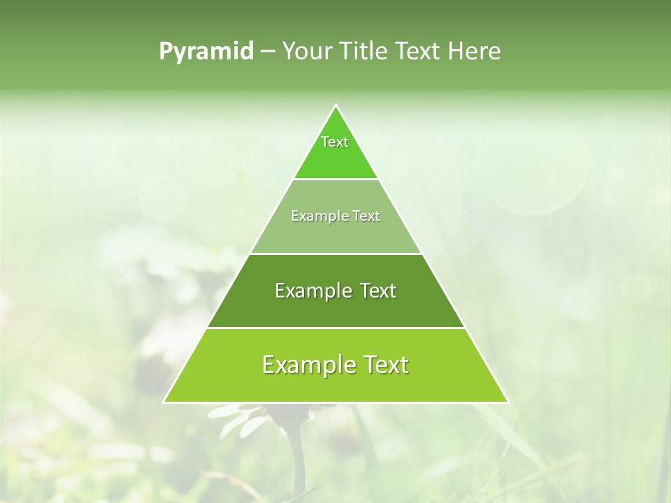 Art Bright Growth PowerPoint Template