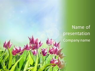 Sunshine Anniversary April PowerPoint Template