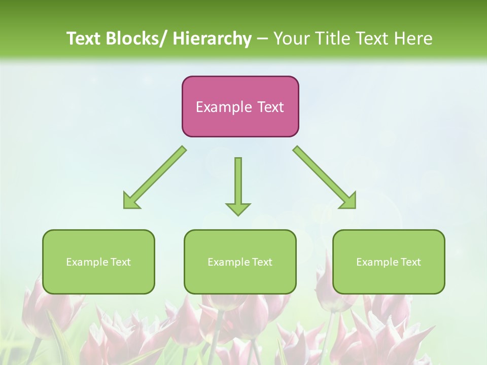 Sunshine Anniversary April PowerPoint Template