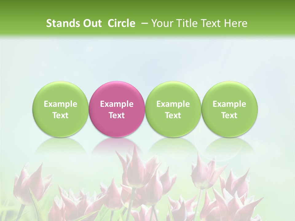 Sunshine Anniversary April PowerPoint Template