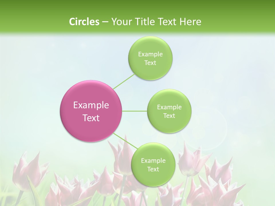 Sunshine Anniversary April PowerPoint Template