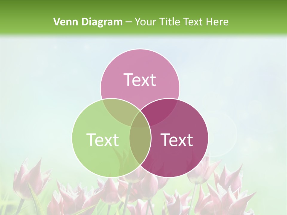 Sunshine Anniversary April PowerPoint Template