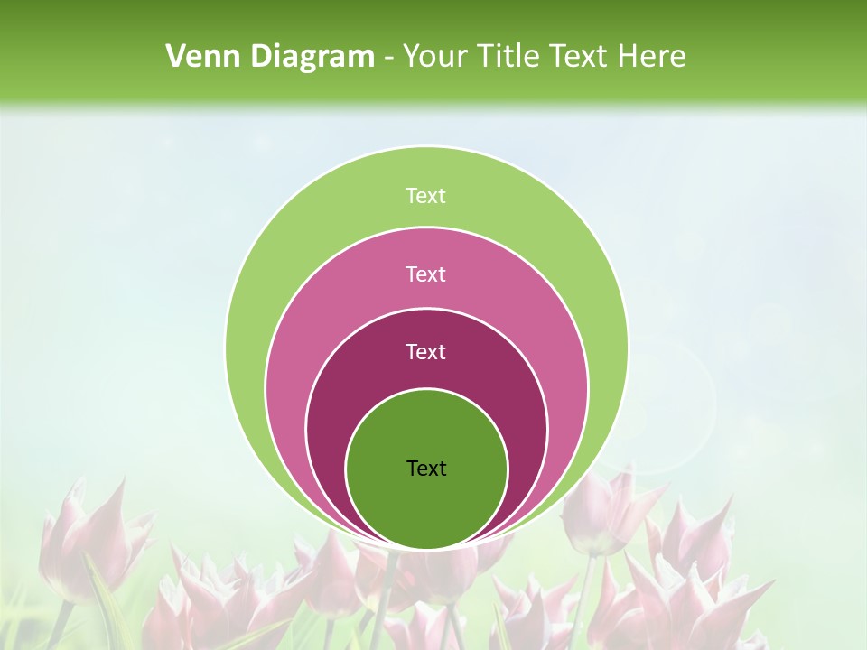 Sunshine Anniversary April PowerPoint Template