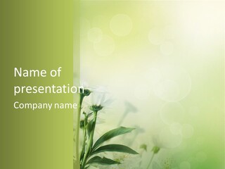 Abstract Spring Macro PowerPoint Template