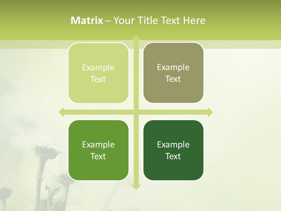 Abstract Spring Macro PowerPoint Template